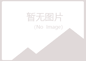 峨眉山白山咨询有限公司